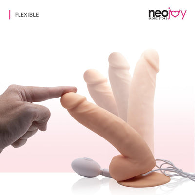 Neojoy Private Lover Silicon Rotating Vibrator Realistic Dildo With Suction Cup 15cm - 5.9 inch Dildos - lucidtoys.com Dildo vibrator sex toy love doll