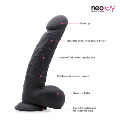 Neojoy 10.4